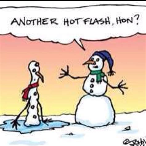 25 Best Images About Hot Flashes On Pinterest Cartoon Funny