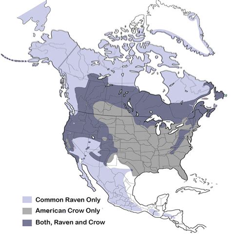 Differences Between An American Crow And A Common Raven With Map