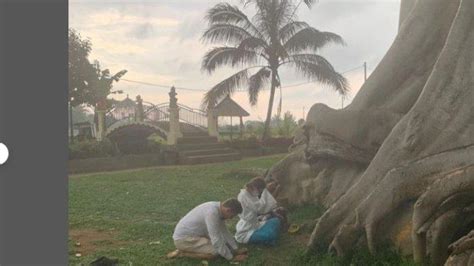 Viral Video Bule Di Bali Foto Telanjang Di Pohon Keramat Aksinya Dikecam And Kini Menyesal