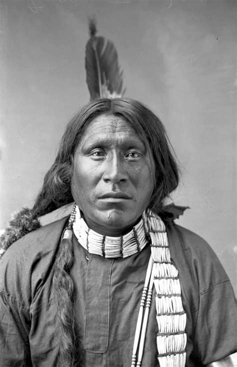 old wolf lakota 1880s photo by d f barry native american warrior native american beauty