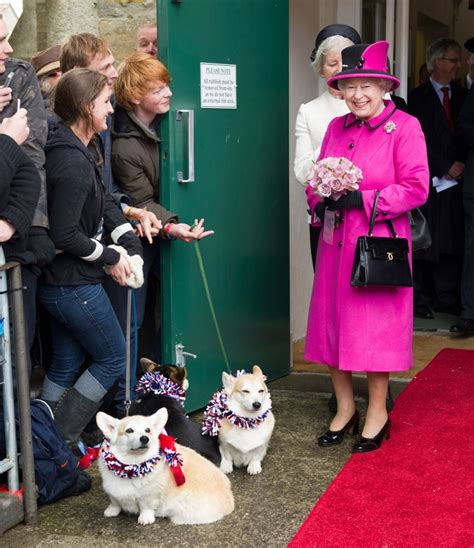 Her Majesty Loves Her Corgis Corgi Queen History Of Queen Elizabeth