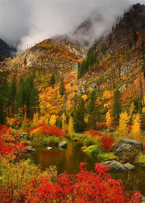 Fall Color In Tumwater Canyon Wa ~ Randalljhodges Colour My World