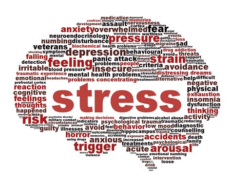 Stress Management Alan Fitness Personal Trainer And Wellness Coach