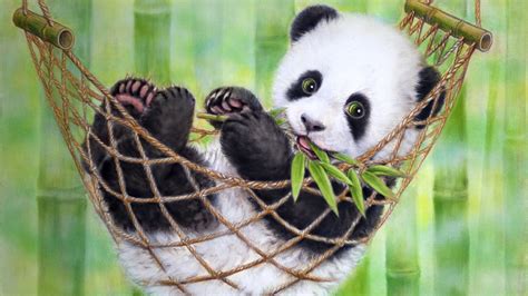 Cute Panda Wallpapers On Wallpaperdog
