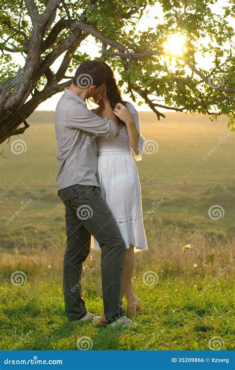 Couple Kissing Under Tree Royalty Free Stock Image Image 35209866