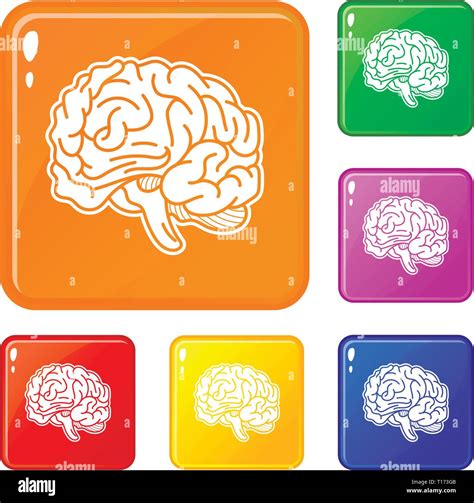 Genius Brain Icons Set Vector Color Stock Vector Image And Art Alamy
