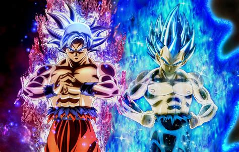 Goku And Vegeta In Their Final Forms Dragon Ball Super Manga Anime