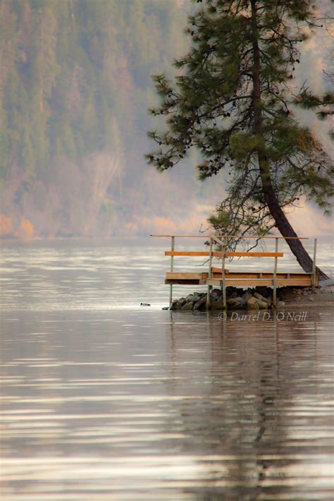 Tree And Dock At Wood Lake 1 Darrel Flickr