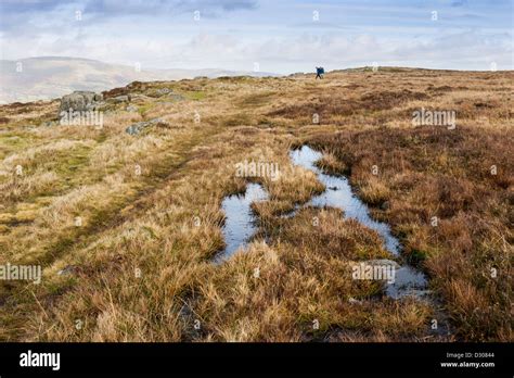 Moors Wales Hi Res Stock Photography And Images Alamy