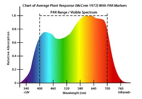 Metal halide lights tend to be considered great full spectrum grow lights. Metal Halide Grow Lights Explained and Reviewed