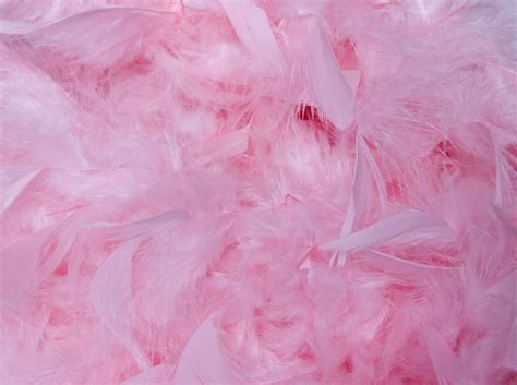 Background Baby Pink Fluffy Baby Pink Fluffy Feather Background