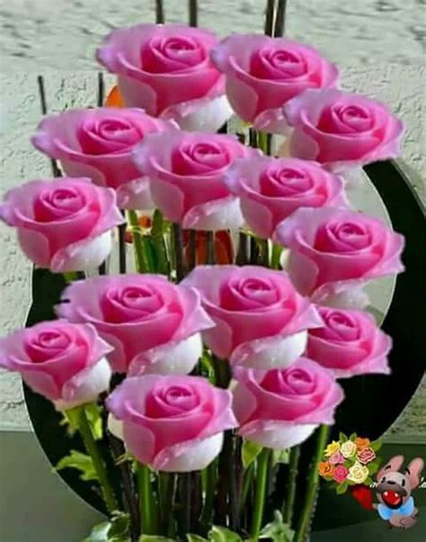 Pin De Leo En Mis Rosas Ramos De Rosas Hermosas Mejores Flores