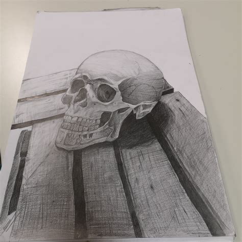 A Skull Study Now To New Perspectives Drawing