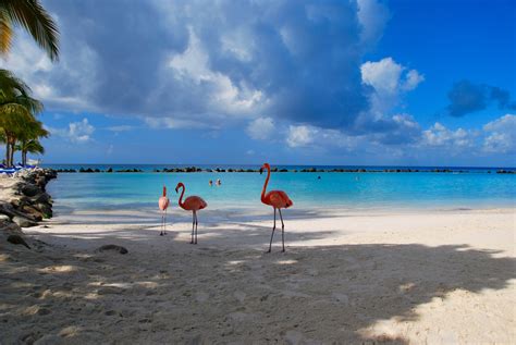 Entdeckt Die 9 Schönsten Strände Auf Aruba Und Genießt Karibikfeeling Pur