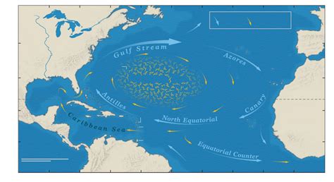 Sargasso Sea On World Map Us States Map