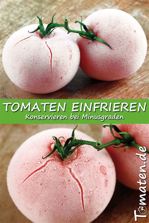 Tomaten einfrieren