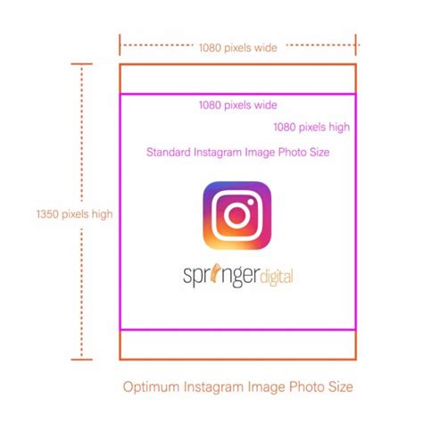 Recommended Instagram Image Sizes For 2020 Springer Digital