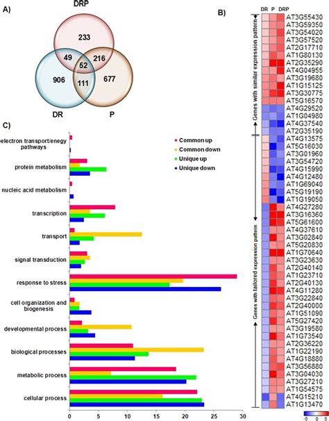 Overview Of Transcriptome Profile Of Arabidopsis Thaliana Exposed To