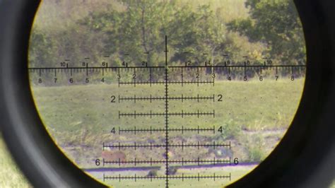 How To Choose The Right Reticle For Long Range Shooting Essential Guide