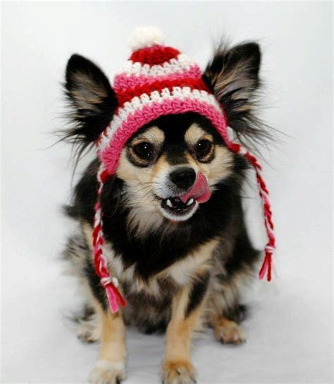 Dog Hat Crocheted With Ear Flap Braids Pink Red White Small Dog