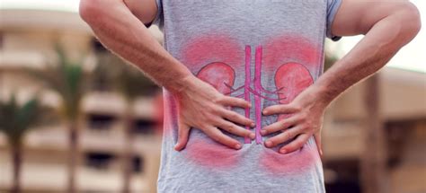 Where Does Your Back Hurt With A Kidney Infection Wichita Pt Group