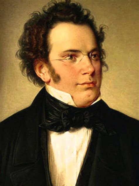 Franz Schubert Clássicos Dos Clássicos Por Carlos Siffert