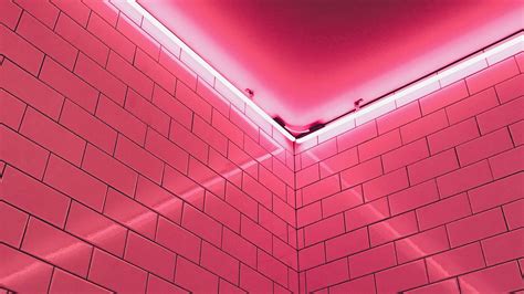 Download Neon Pink Aesthetic Brick Wall Wallpaper