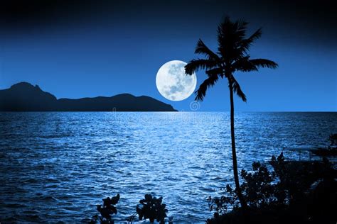 Ocean Night Moon Sky Tropical Img