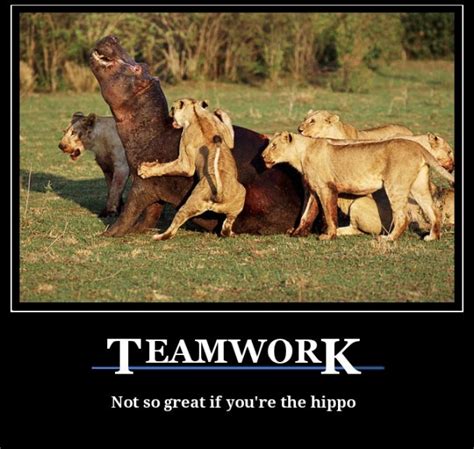 Funny Teamwork Memes For Work Laugh Your Way To Your Next Paycheck With These Funny Work Memes