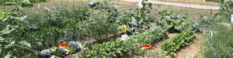 Community Garden Plots Schaumburg Illinois