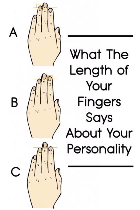 What The Length Of Your Fingers Says About Your Personality Finger