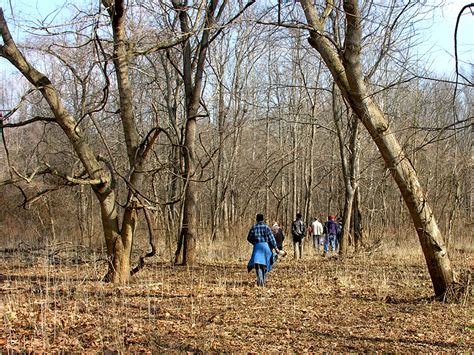 Trails At Merrimac Farm Wildlife Management Area