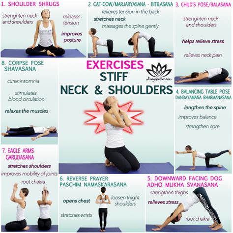 8 Easy Exercises For Pain In Neck And Shoulders Jivayogalive