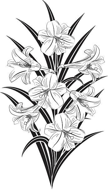 Easter Lily Vector Illustrations Royalty Free Vector Graphics And Clip