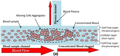 Blood Plasma Separation Process In A T Shape Microchannel Reprinted