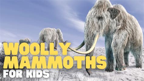 Woolly Mammoths For Kids Learn All About This Furry Animal And Its