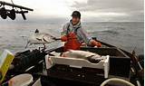 Photos of Commercial Salmon Fishing Oregon