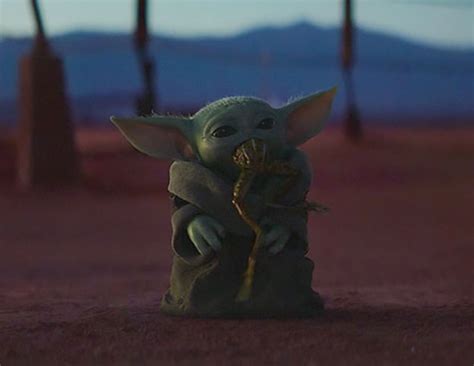 Images Of Baby Yoda Eating A Frog