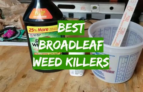 Top 5 Best Broadleaf Weed Killers 2020 Review Grass Killer