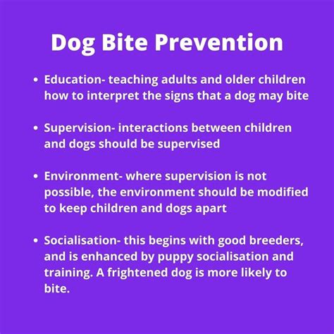 Dog Bites And How To Avoid Them Dr Niamh Lynch