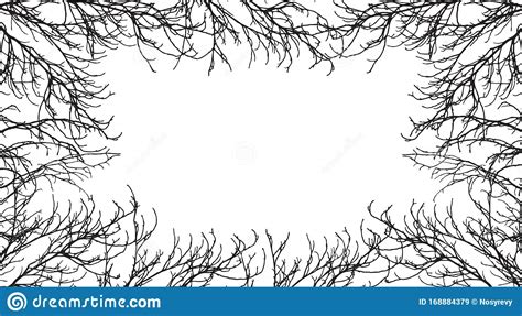 Autumn Branches Of Trees Silhouette Frame Applied Clipping Mask