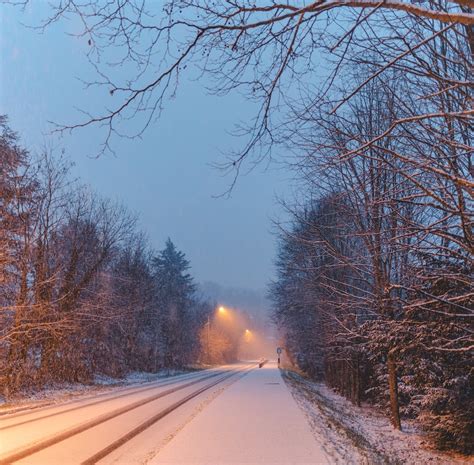 Snow Covered Road Between Bare Trees During Daytime Photo Free Road