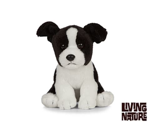 Living Nature Border Collie Puppy T Giant