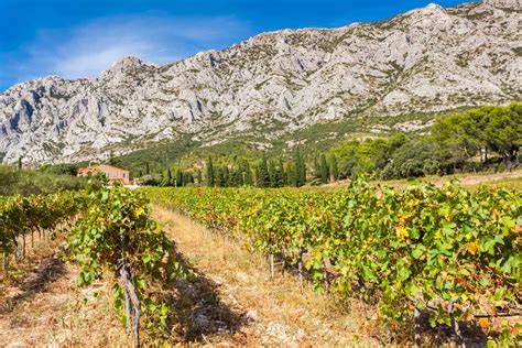 Ultimate Guide to the Provence Wine Region of France
