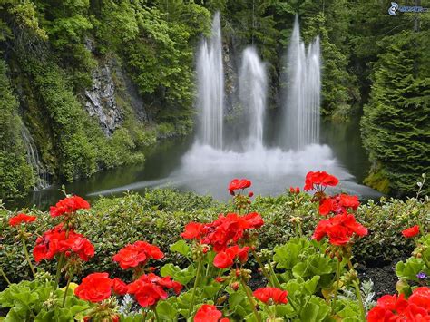 Beautiful Nature Images Waterfall With Flowers
