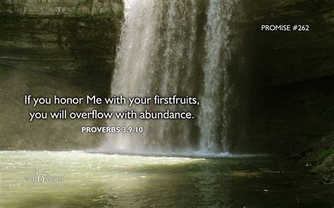 Proverbs 3:9-10 | Promise photo, Bible promises, Gods promises