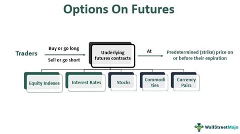 Options On Futures Meaning Explanation Benefits Example