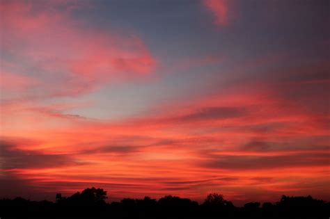 Free Photo Orange Sky Sunset