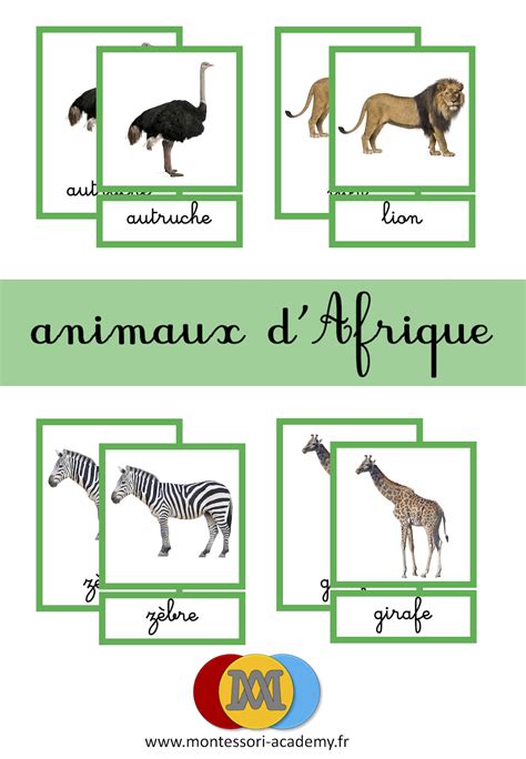 Cartes De Nomenclatures Les Animaux Dafrique Montessori Academy