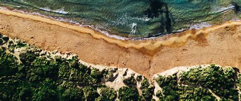Download Wallpaper 2560x1080 Coast Sea Vegetation Beach Sand Surf